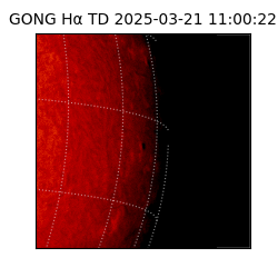 gong - 2025-03-21T11:00:22