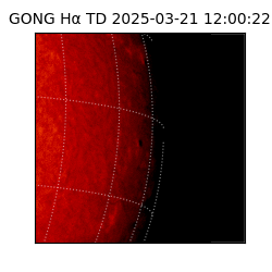 gong - 2025-03-21T12:00:22