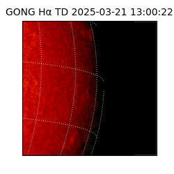 gong - 2025-03-21T13:00:22