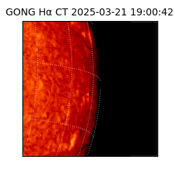 gong - 2025-03-21T19:00:42