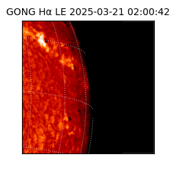 gong - 2025-03-21T02:00:42