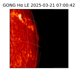 gong - 2025-03-21T07:00:42