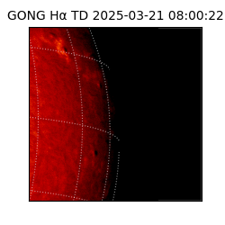 gong - 2025-03-21T08:00:22