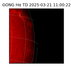 gong - 2025-03-21T11:00:22