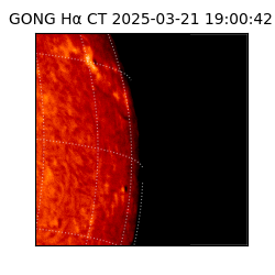 gong - 2025-03-21T19:00:42