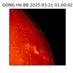 gong - 2025-03-21T01:00:02