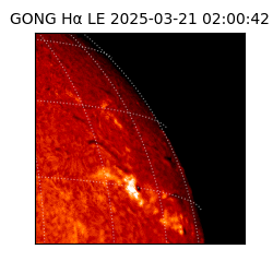 gong - 2025-03-21T02:00:42