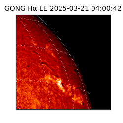 gong - 2025-03-21T04:00:42