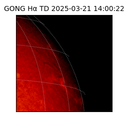 gong - 2025-03-21T14:00:22