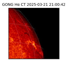 gong - 2025-03-21T21:00:42