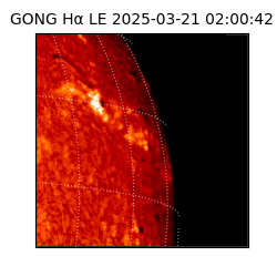gong - 2025-03-21T02:00:42
