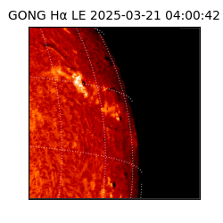 gong - 2025-03-21T04:00:42