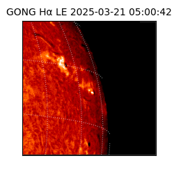 gong - 2025-03-21T05:00:42