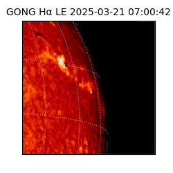 gong - 2025-03-21T07:00:42