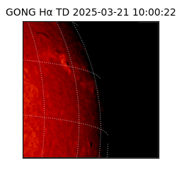 gong - 2025-03-21T10:00:22