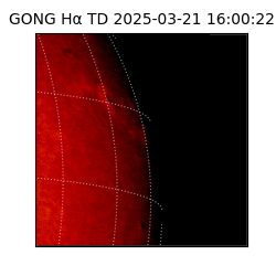 gong - 2025-03-21T16:00:22