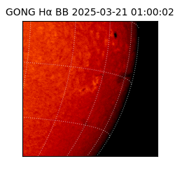 gong - 2025-03-21T01:00:02