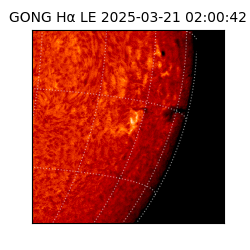 gong - 2025-03-21T02:00:42