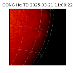 gong - 2025-03-21T11:00:22