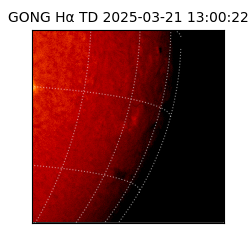 gong - 2025-03-21T13:00:22