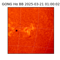 gong - 2025-03-21T01:00:02