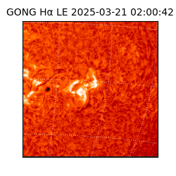 gong - 2025-03-21T02:00:42