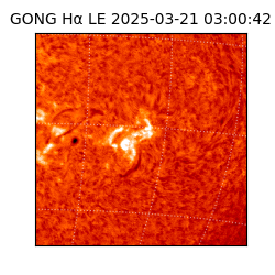 gong - 2025-03-21T03:00:42