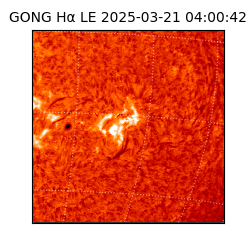 gong - 2025-03-21T04:00:42