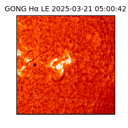 gong - 2025-03-21T05:00:42