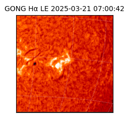 gong - 2025-03-21T07:00:42