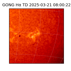 gong - 2025-03-21T08:00:22