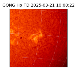 gong - 2025-03-21T10:00:22