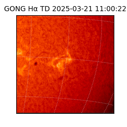 gong - 2025-03-21T11:00:22