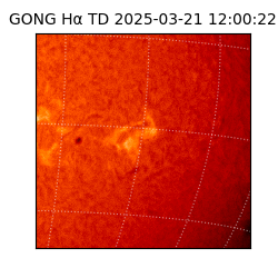 gong - 2025-03-21T12:00:22