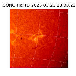 gong - 2025-03-21T13:00:22