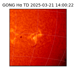 gong - 2025-03-21T14:00:22