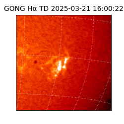 gong - 2025-03-21T16:00:22