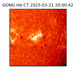 gong - 2025-03-21T20:00:42