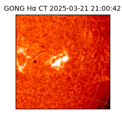 gong - 2025-03-21T21:00:42