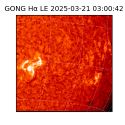 gong - 2025-03-21T03:00:42