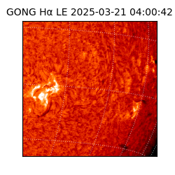 gong - 2025-03-21T04:00:42