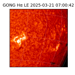 gong - 2025-03-21T07:00:42