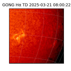 gong - 2025-03-21T08:00:22