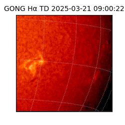 gong - 2025-03-21T09:00:22