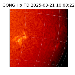 gong - 2025-03-21T10:00:22