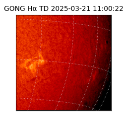 gong - 2025-03-21T11:00:22