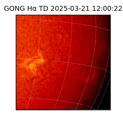 gong - 2025-03-21T12:00:22