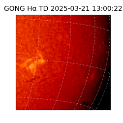 gong - 2025-03-21T13:00:22
