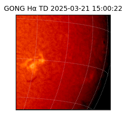 gong - 2025-03-21T15:00:22