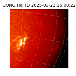 gong - 2025-03-21T16:00:22